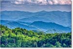 NCOverlook_GreatSmokyMtns_2009Jun_VE0K9605 copy