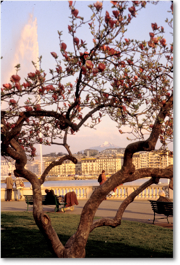 Waterfront-GenevaSwitzerland-1997Apr-ek4 copy