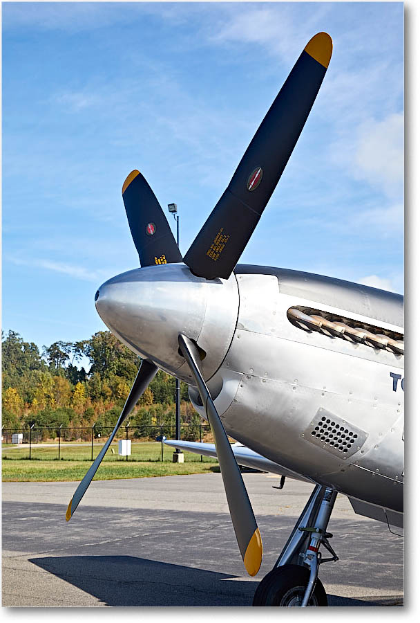 P51Mustang_StaffordVA_2016Oct_5D4A0028 copy