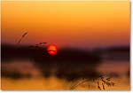 SunsetWildlifeLoop_ChincoNWR_1992Jun_K05 copy