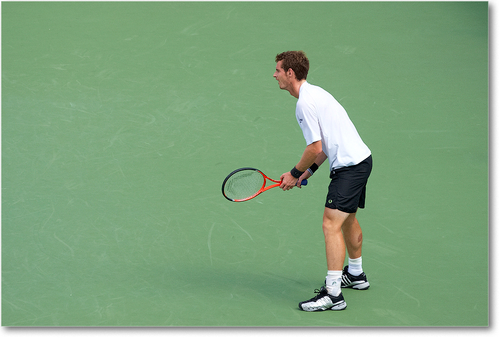 Murray (d Almagro R32) Cincy091D3A2607 copy