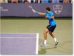 Del Potro (l Federer R32) Cincy11_D4A6793 copy