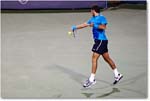 Del Potro (l Federer R32) Cincy11_D4A6809 copy