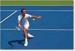Stepanek (d Isner R64) Cincy11_D4A6010 copy