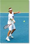 Nalbandian (l Haas R64) Cincy 2012_D4B4722 copy