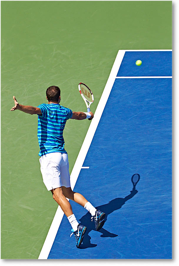 Dimitrov_(l_Janowicz_R32)_Cincy2014_2DXA3108 copy