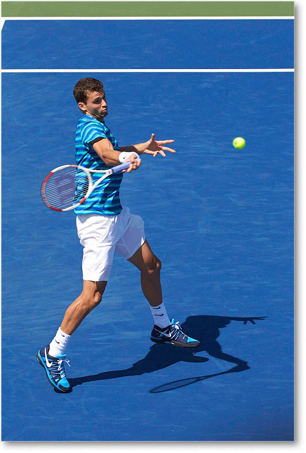 Dimitrov_(l_Janowicz_R32)_Cincy2014_2DXA3124 copy