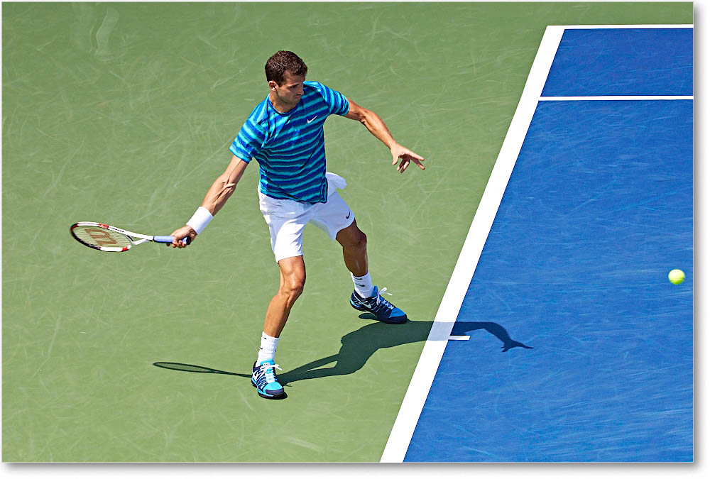 Dimitrov_(l_Janowicz_R32)_Cincy2014_2DXA3188 copy