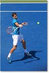 Dimitrov_(l_Janowicz_R32)_Cincy2014_2DXA3124 copy