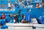 Federer_d_Agut_2015_2DXA8854