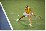 Petkovic_(l_Halep_R16)_Cincy2015_2DXB0883 copy