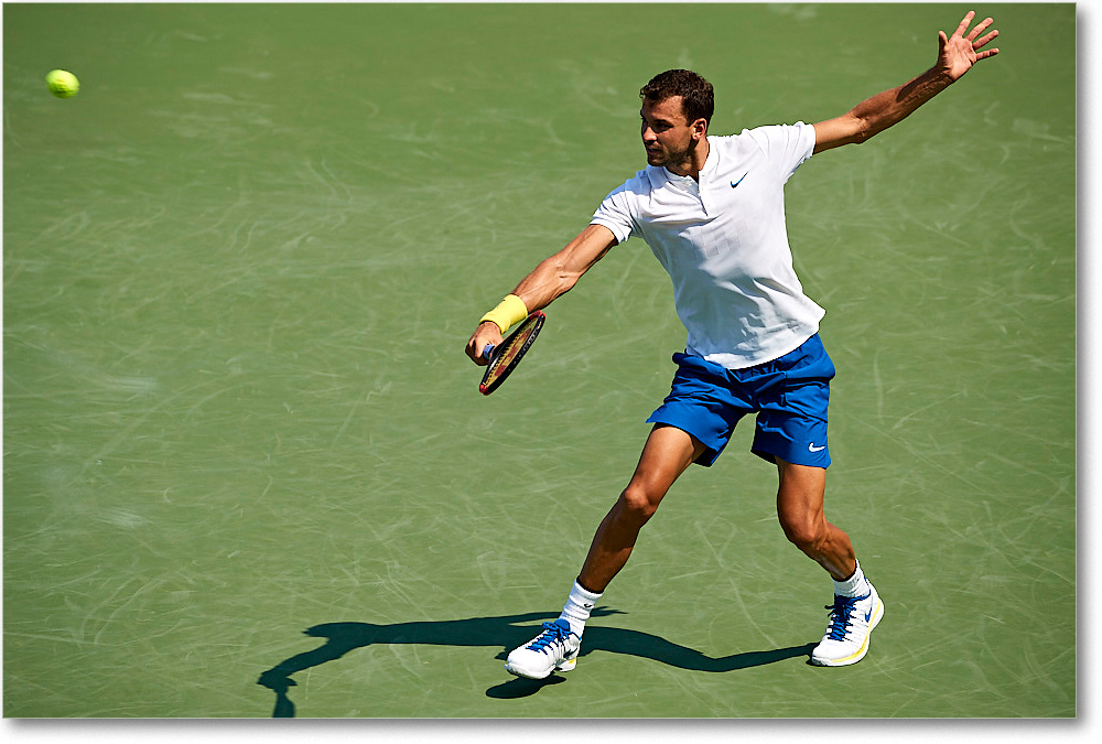 Dimitrov_(d_Isner_SF)_Cincy2017_4DXB4305 copy