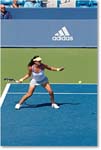 Arvidsson (l A Radwanska R32) Cincy2012_D4B6036 copy