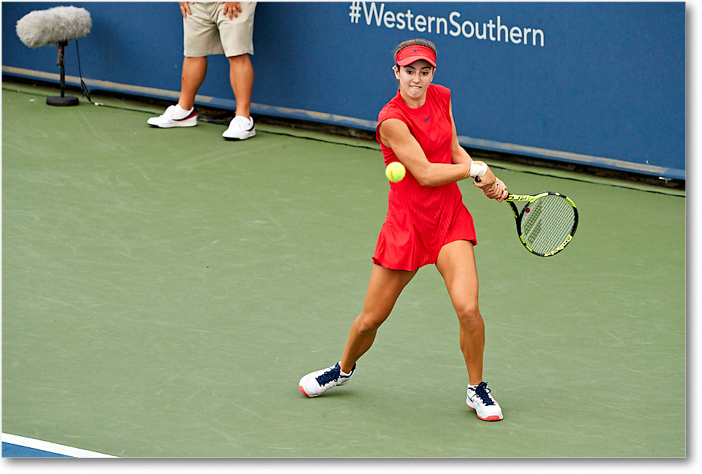 Bellis_(l_Cornet_R64)_Cincy2017_4DXB0885 copy