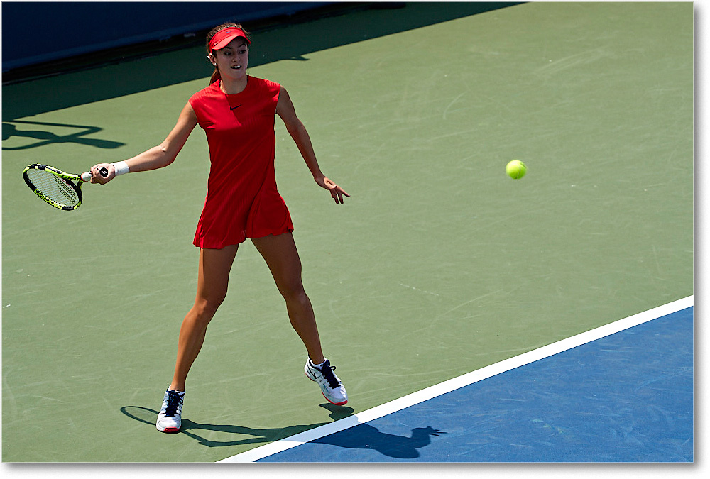 Bellis_(l_Cornet_R64)_Cincy2017_4DXB0955 copy