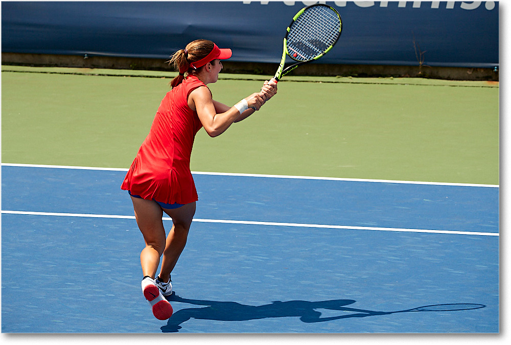 Bellis_(l_Cornet_R64)_Cincy2017_4DXB0963 copy