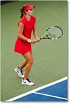 Bellis_(l_Cornet_R64)_Cincy2017_4DXB0865 copy