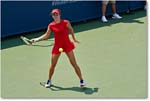 Bellis_(l_Cornet_R64)_Cincy2017_4DXB0944 copy