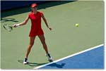 Bellis_(l_Cornet_R64)_Cincy2017_4DXB0955 copy