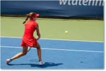 Bellis_(l_Cornet_R64)_Cincy2017_4DXB0961 copy