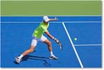 BenneteauRogerVasselin_(d_NestorZimonjic_QF)_Cincy2014_2DXA5361 copy
