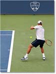 Berdych (l Djokovic SF) Cincy11_D4A9649 copy