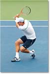 Berdych (l Djokovic SF) Cincy11_D4A9660 copy