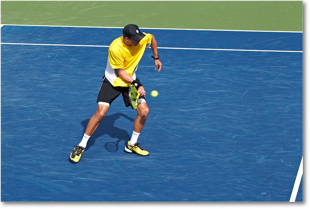 Bryan-Bryan (d Blake-Johnson QF) Cincy2013_D4C6806 copy