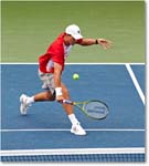 Bryan Bryan (l Bhupathi Paes SF) Cincy11_D4A9771 copy