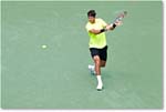 Del Potro (d Chardy QF) Cincy2012_D4B8359 copy