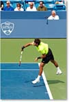 Del Potro (d Chardy QF) Cincy2012_D4B8406 copy