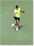 Del Potro (d Chardy QF) Cincy2012_D4B8410 copy