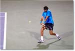 Del Potro (l Federer R32) Cincy11_D4A6804 copy