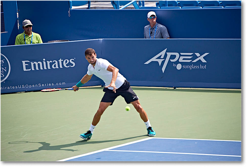 Dimitrov_(d_Johnson_QF)_Cincy2016_4DXA5535 copy