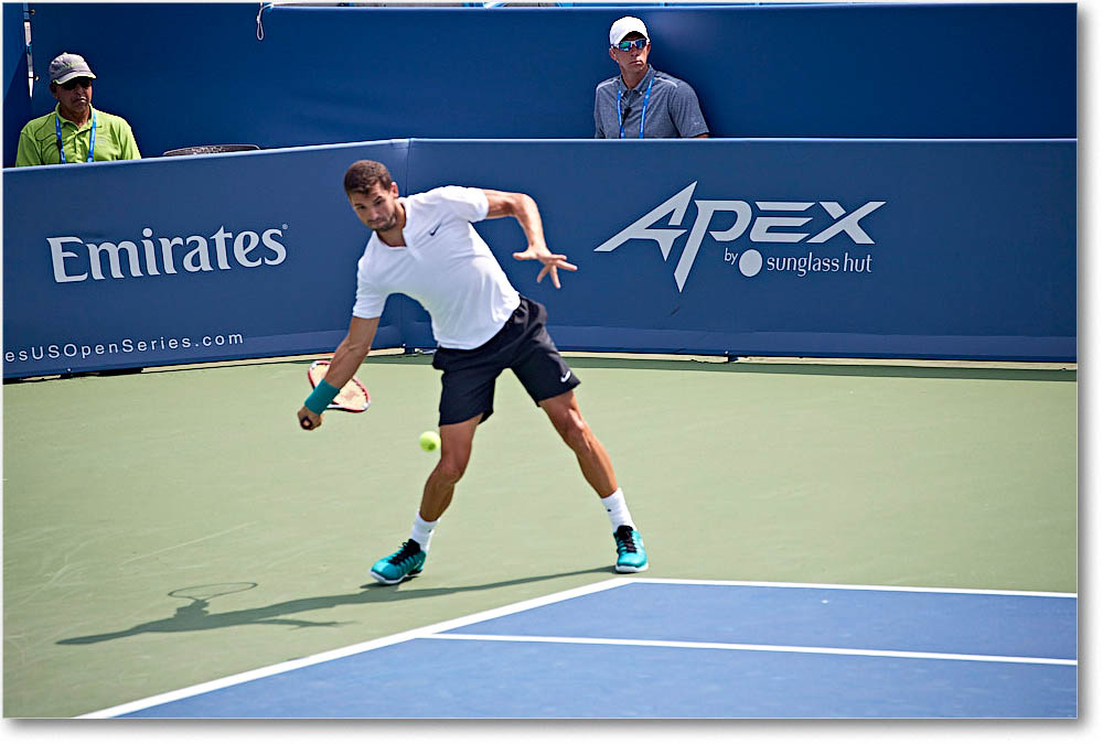 Dimitrov_(d_Johnson_QF)_Cincy2016_4DXA5536 copy