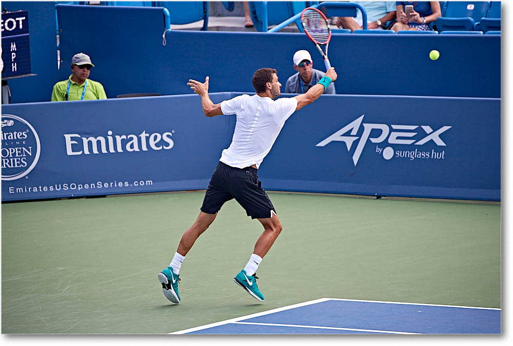 Dimitrov_(d_Johnson_QF)_Cincy2016_4DXA5607 copy