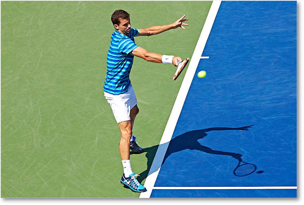Dimitrov_(l_Janowicz_R32)_Cincy2014_2DXA2988 copy