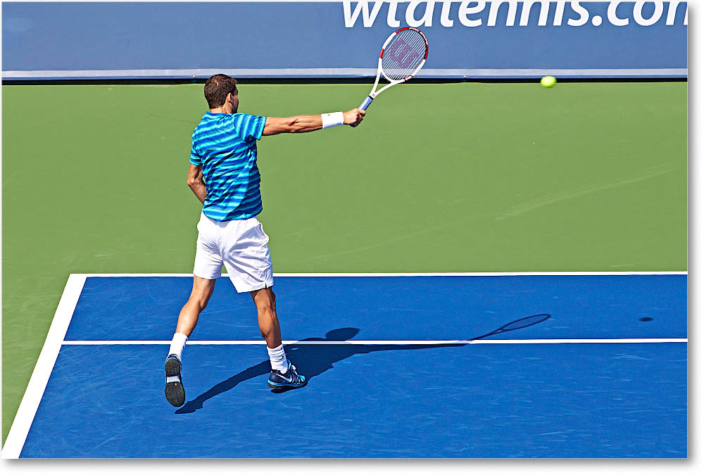 Dimitrov_(l_Janowicz_R32)_Cincy2014_2DXA3004 copy
