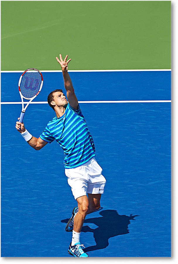 Dimitrov_(l_Janowicz_R32)_Cincy2014_2DXA3062 copy