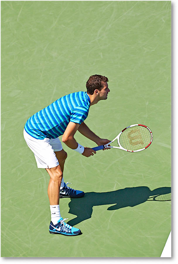 Dimitrov_(l_Janowicz_R32)_Cincy2014_2DXA3106 copy