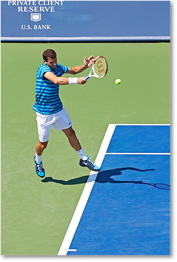 Dimitrov_(l_Janowicz_R32)_Cincy2014_2DXA3116 copy