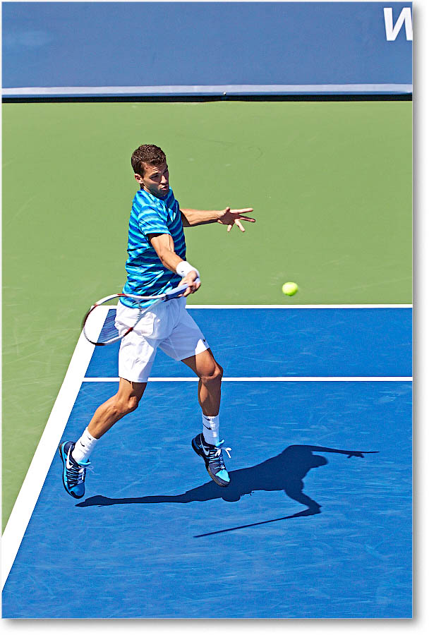 Dimitrov_(l_Janowicz_R32)_Cincy2014_2DXA3137 copy