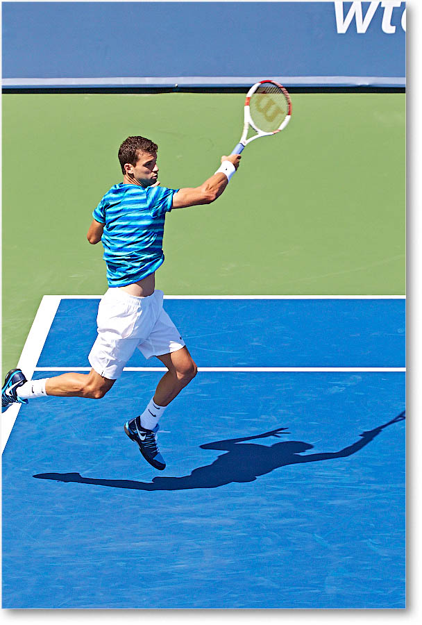 Dimitrov_(l_Janowicz_R32)_Cincy2014_2DXA3138 copy