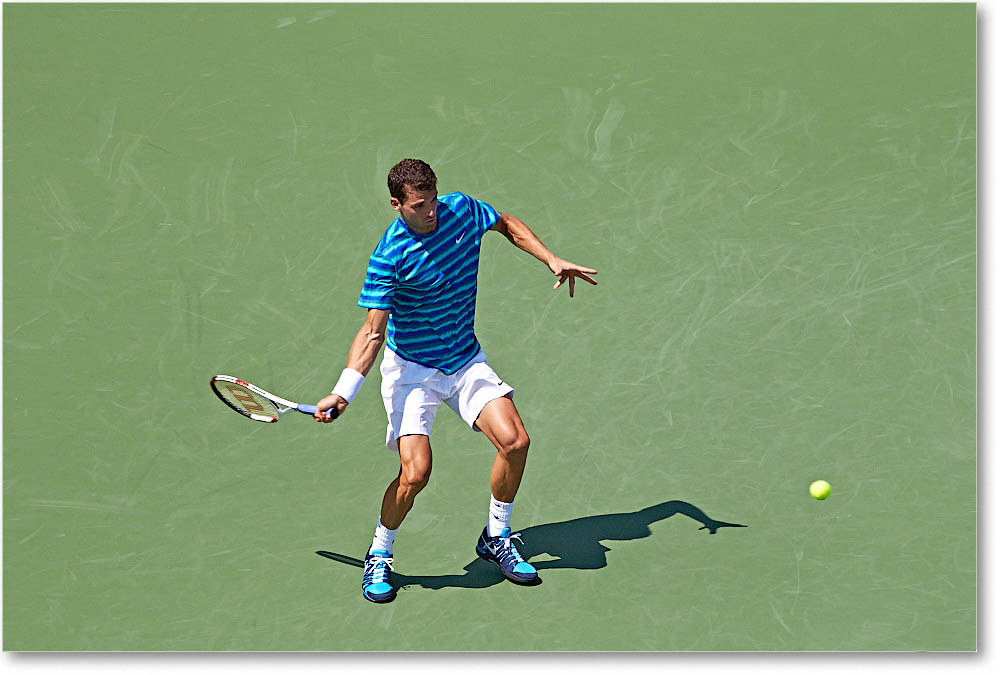 Dimitrov_(l_Janowicz_R32)_Cincy2014_2DXA3152 copy
