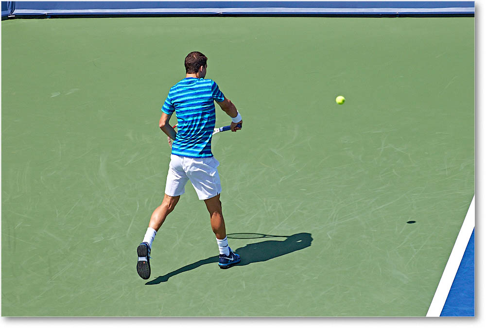 Dimitrov_(l_Janowicz_R32)_Cincy2014_2DXA3165 copy