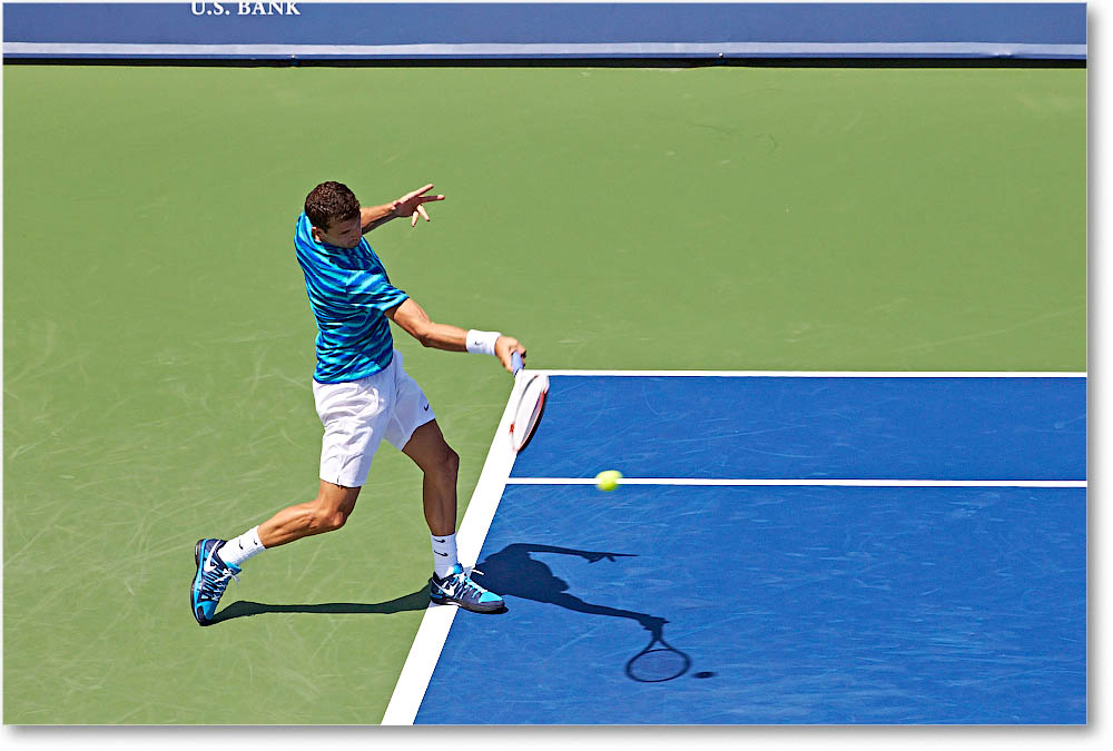 Dimitrov_(l_Janowicz_R32)_Cincy2014_2DXA3171 copy