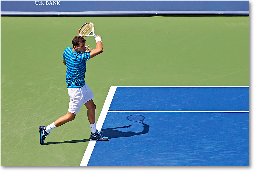 Dimitrov_(l_Janowicz_R32)_Cincy2014_2DXA3172 copy