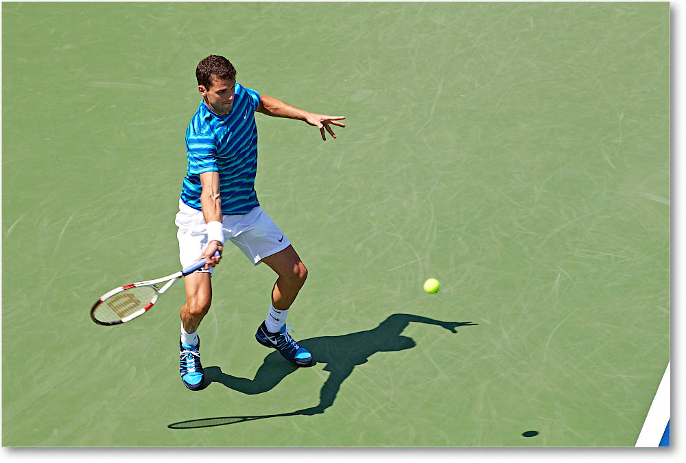 Dimitrov_(l_Janowicz_R32)_Cincy2014_2DXA3179 copy
