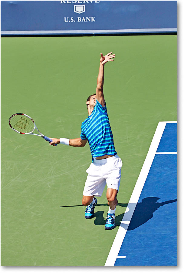 Dimitrov_(l_Janowicz_R32)_Cincy2014_2DXA3186 copy