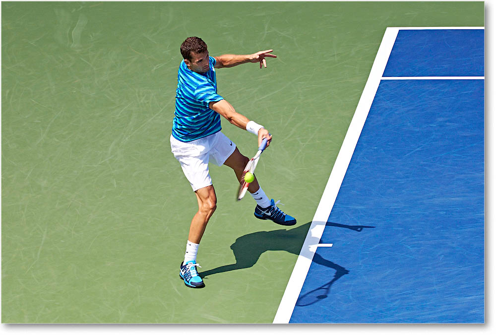 Dimitrov_(l_Janowicz_R32)_Cincy2014_2DXA3189 copy